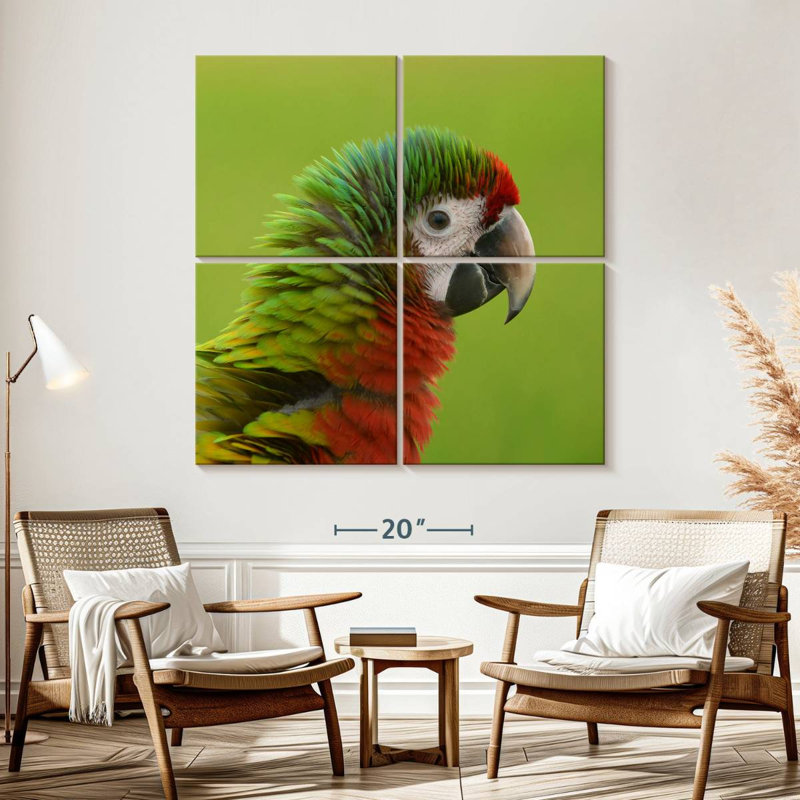 Brampt Macaw Bird Head, 57" H x 57" W