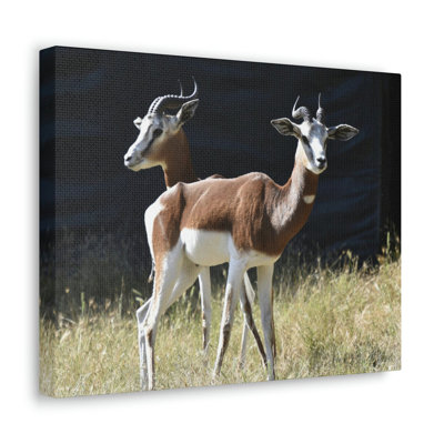 No Frame Print on Canvas