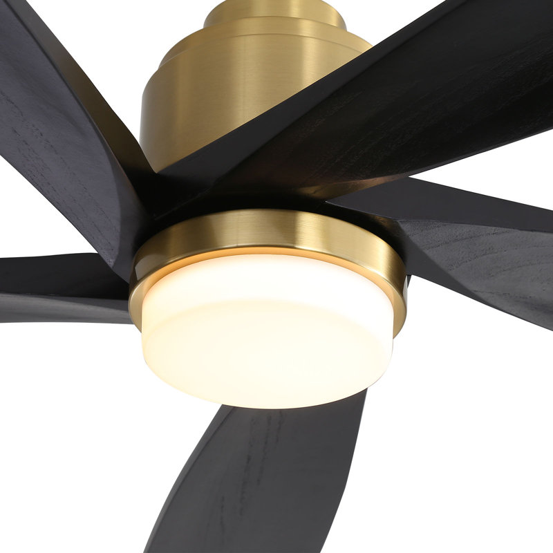 Ventilateur de plafond 52 po avec lumières DEL Damecia, Noir et or