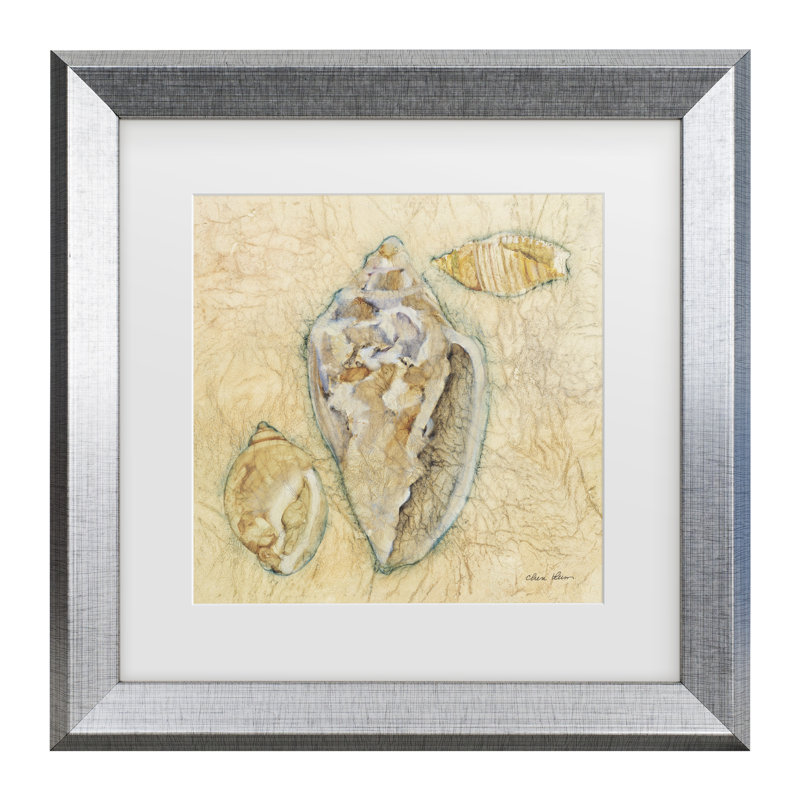 «Cheri Blum Shells IV Matted», art encadré, H 14,5 po x l 14,5 po