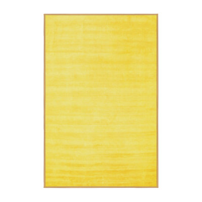 Hephzipa Performance Indoor Rug