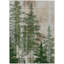 Tapis intérieur / extérieur lavable à la machine Chantille ACN2833-1733115845-1733115851