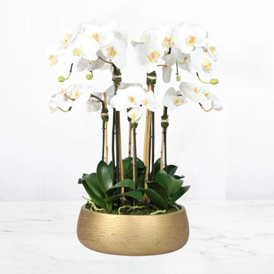 Silk Orchid Centerpiece Arrangement