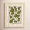 Expressive Abstract House Plant Green Print