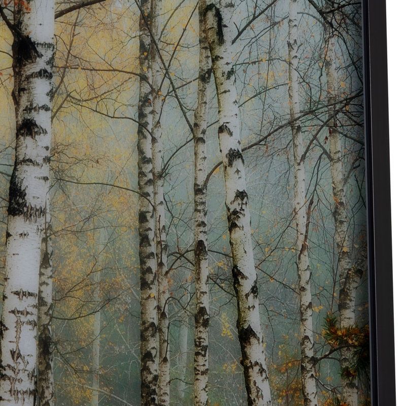 «Rivers Woodland Yellow Birch», art mural encadré