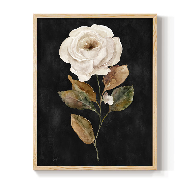 «Botanical on Black Wash II», reproduction encadrée - bois massif, Naturel, H 11 po x l 9 po