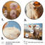 «Country Charm Pastel Meadows III», reproduction sur toile-2126501432-2126501438