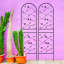 Treillis de jardin en métal antirouille pour plantes grimpantes