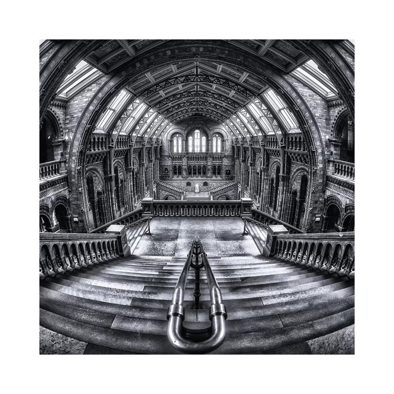 Harry Potter Meets Escher And Darwin by Massimo Cuomo - Wrapped Canvas Print, 66.04 cm H x 66.04 cm W x 3.175 cm D
