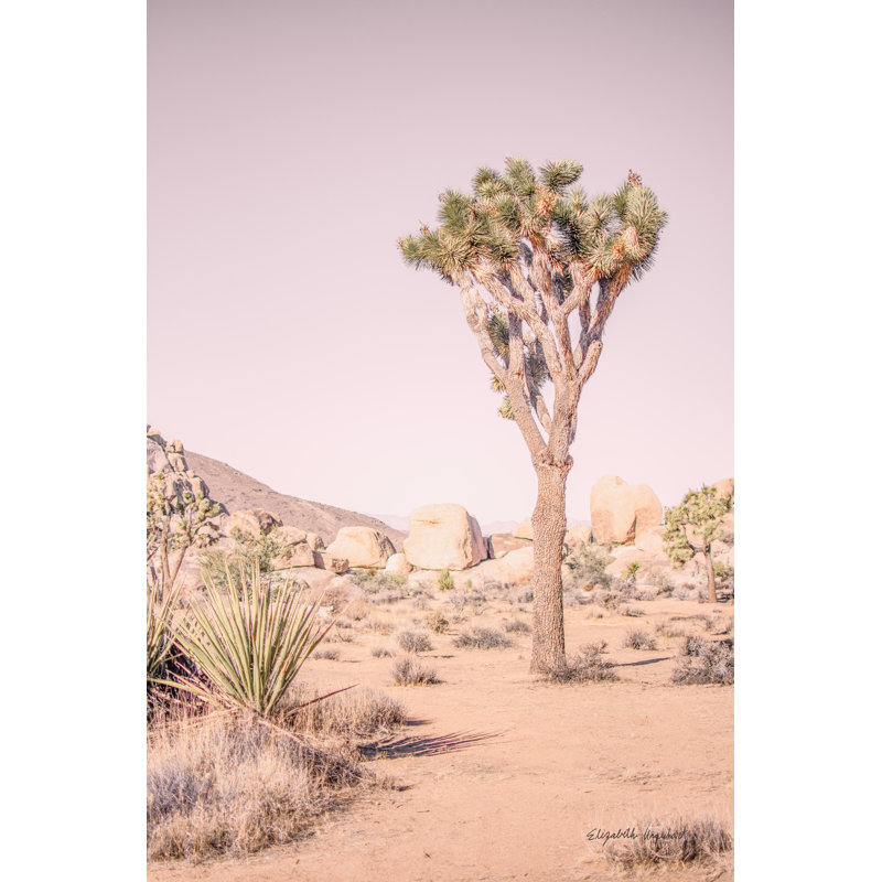 Rosé Joshua Tree III, H 32 po x l 48 po x P 1,25 po