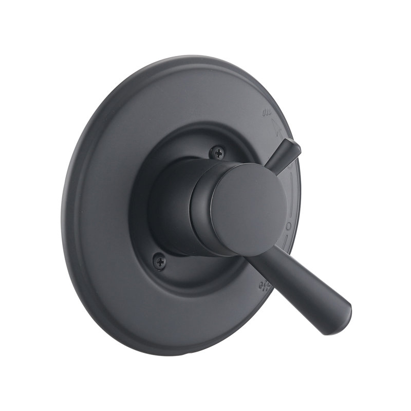 Remplacement de l'ensemble de garniture de douche Delta 17, plaque de couverture de douche avec poignée, Noir mat