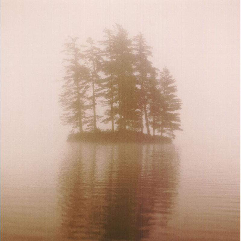 Île de pin
