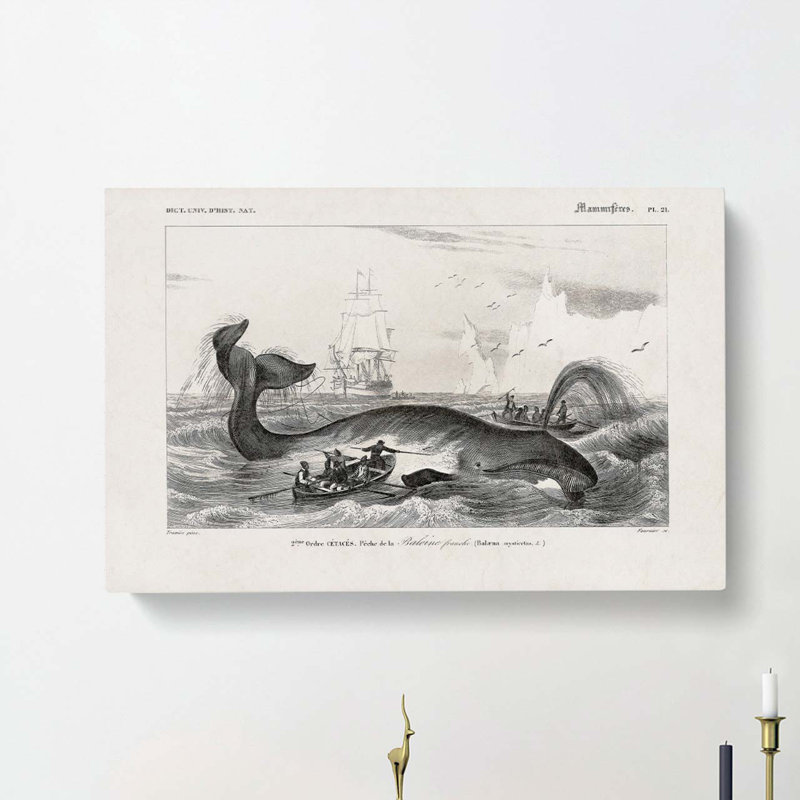 Hunting a Bowhead Whale by Charles D' Orbigny - Wrapped Canvas, 40cm H x 60cm W x 3cm D