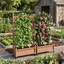 Lit de jardin surélevé avec treillis, ensemble de 2 jardinières en bois et support à plantes avec supports d'escalade