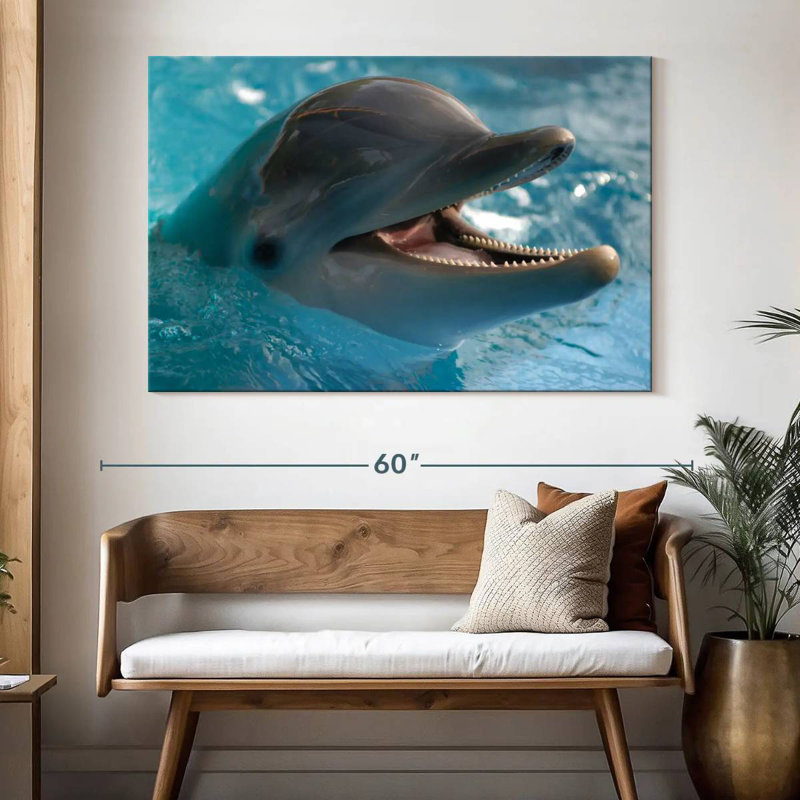 Brampt Delighted Dolphin, 34" H x 51" W