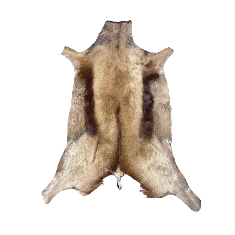 Naturally Copper Springbok Skin