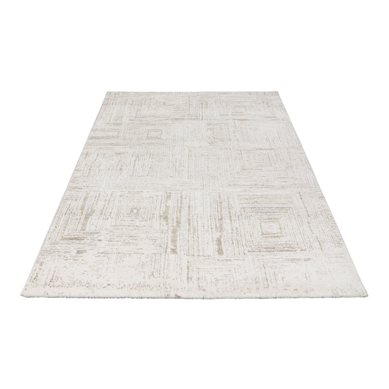 Aluta Vintage Look Area Rug, Rectangular 200 x 290cm