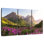 Montagnes Alvord Glacier Park
