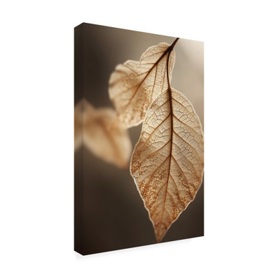 Bolog Treechild Leaf Macro Canvas Art