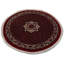 Katalynna Oriental Area Rug in Red
