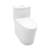 ADA Compliant One-Piece Elongated Toilet 1.6/1.1 GPF Dual Flush12-Inch Rough-In Modern Bathroom Toilet with Soft Close Seat-124555460-124555459