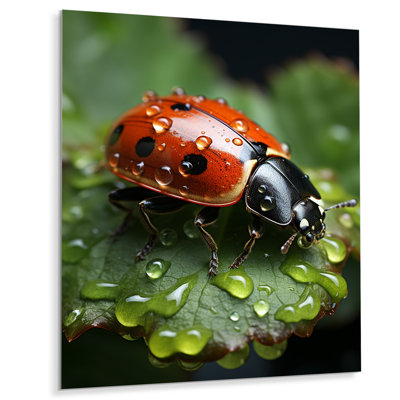 Animal, coccinelle II - coccinelle, art mural en métal, salon