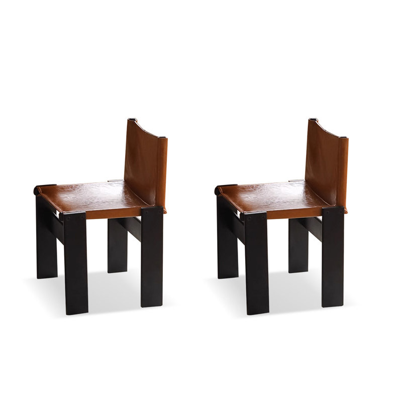 Black+Brown Solid back side Chair(Set of 2), Black