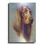«Irish Setter» par Barbara Keith-68649397