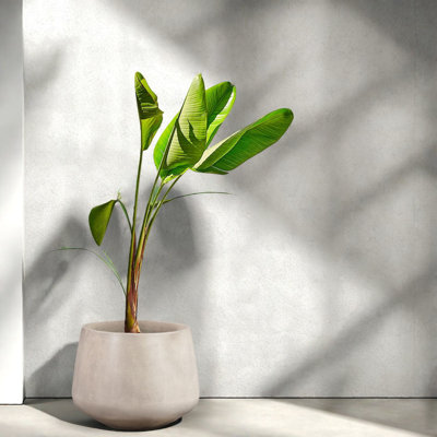 Durable White Concrete Planters, Modern Design For Indoor And Outdoor Use