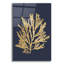  «Pacific Sea Mosses 1 Indigo» par Wild Apple Portfolio, art mural en verre, 16 po x 24 po-1681917504