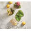 Tropicana Coasters with Gift Box
