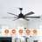 Cathreen 65'' Ceiling Fan with LED Lights