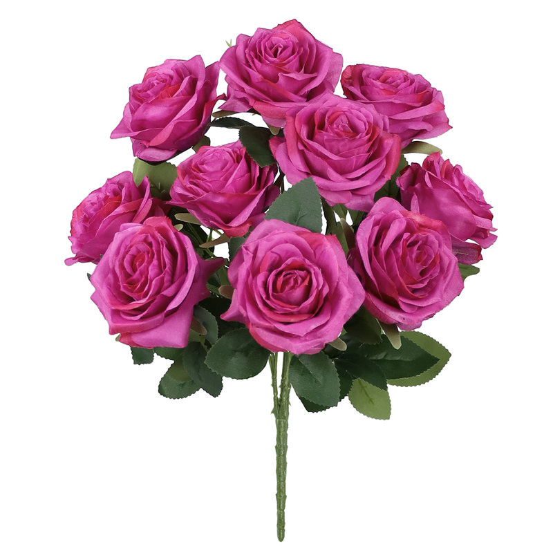 Grand rosier, Fuchsia