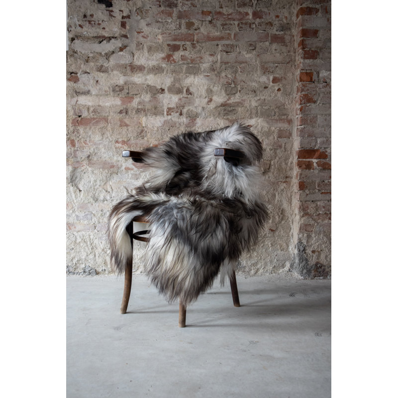 Alverna Novelty 70 cm x 105 cm Sheepskin Hand Woven Area Rug