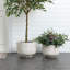 Blanc rustique avec pot rond gris-829080913