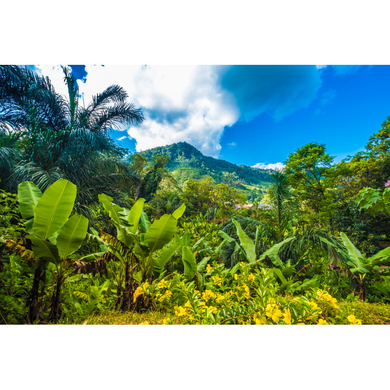 Wrapped Canvas Print, 30cm H x 46cm W x 3.8cm D