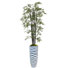 Arbre de bambou Panama