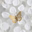 Petals And Butterflies