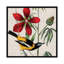 « aviaire crop i », impression sur toile-72228123-72228124-72228130