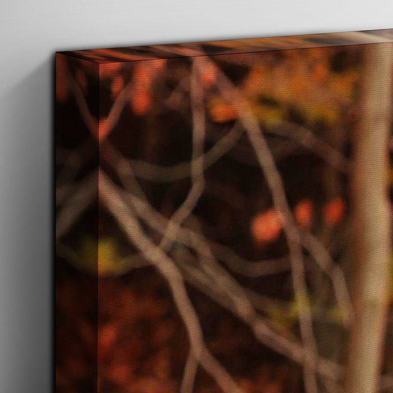 Squirrel Autumn Forest Photographic - Wrapped Canvas, 50cm H x 76cm W