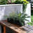 Connoisseur Handmade Planter Box-1784086262-1812760892