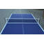 Table de tennis de table intérieure / extérieure Gaomon