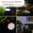 Howle Black Plug-in Integrated LED Spotlight Pack (Transformer Included)