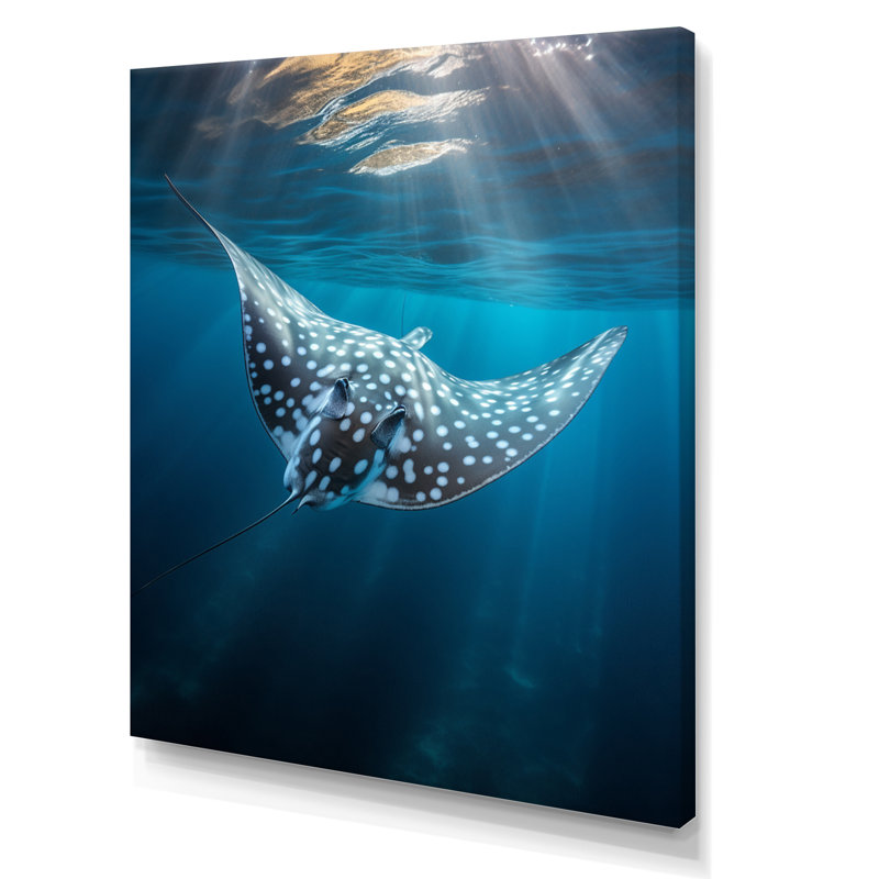 Wilbrecht Ray Graceful Glide Ocean sur toile, H 20 po x l 12 po x P 1 po, Toile tendue