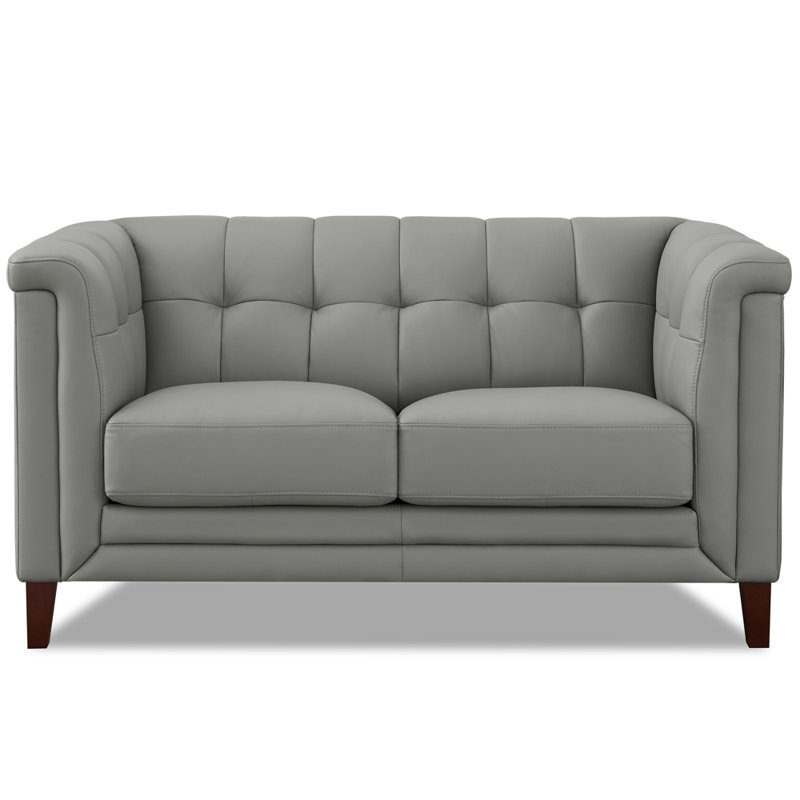 Colturo Gabia 61.5'' Genuine Leather Loveseat, Silver Gray