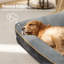 Orthopedic Polyester Pet Bed-763175308