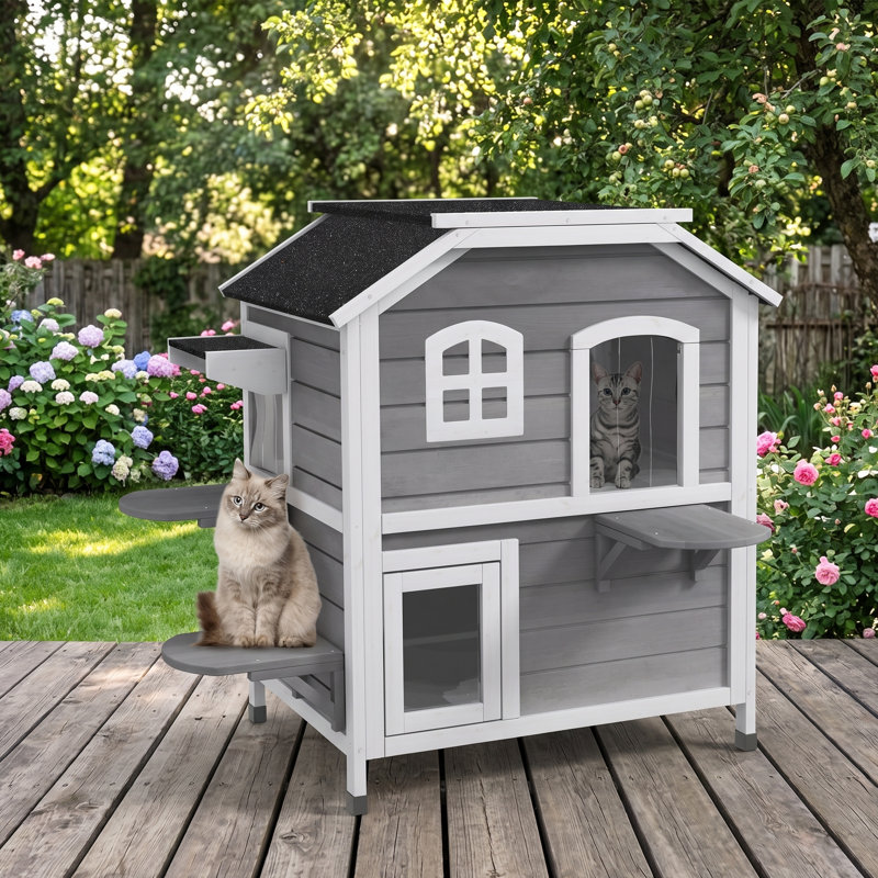 Maison d'extérieur pour chat avec abri pour chat pour chat sauvage, porte d'évacuation, toit ouvrable, plateformes de saut