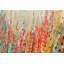 Blooming Fields Painting by Sie Douglas-Fish