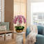 Orchidée dorée Abigail Realtouch-109242014