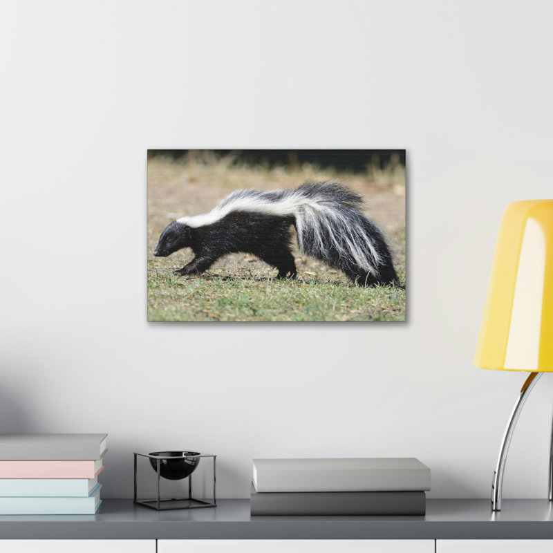 No Frame Print on Canvas, 27.94cm H x 35.56cm W